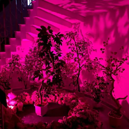 Fiesta Otel Altın Kumlar